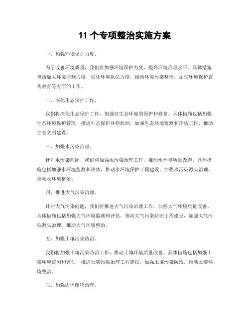11个专项整治实施方案