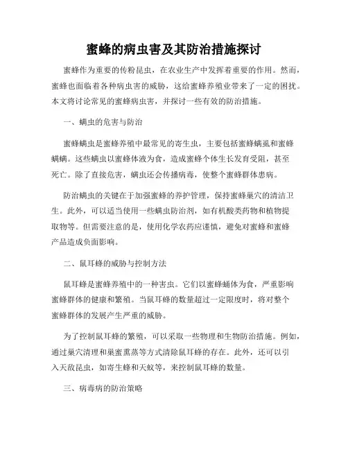 蜜蜂的病虫害及其防治措施探讨