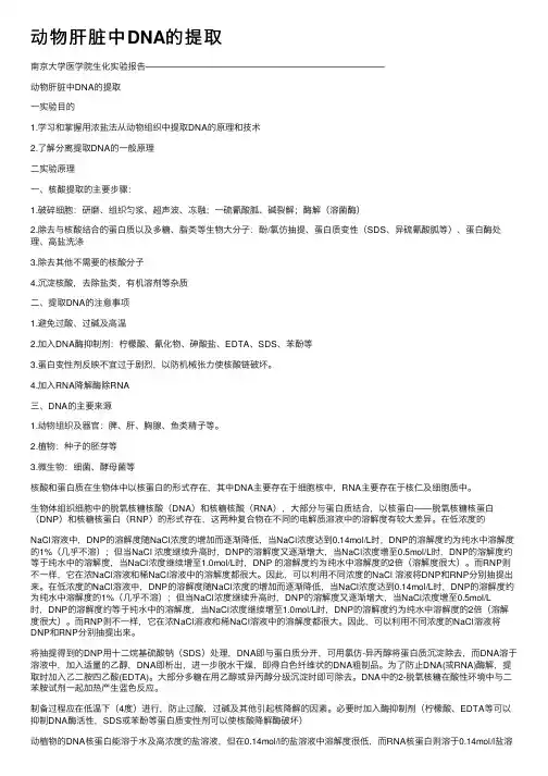 动物肝脏中DNA的提取