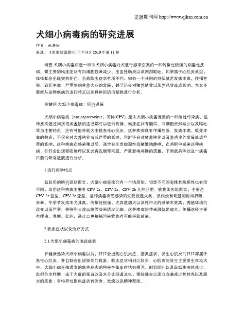 犬细小病毒病的研究进展