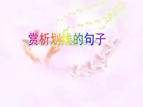 赏析划线的句子(手法题)