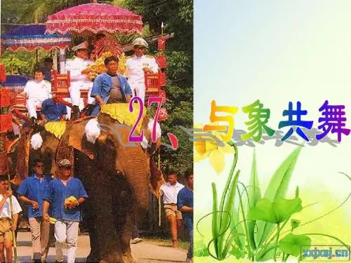 人教版五年级语文下册《与象共舞》