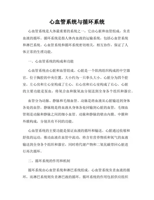 心血管系统与循环系统