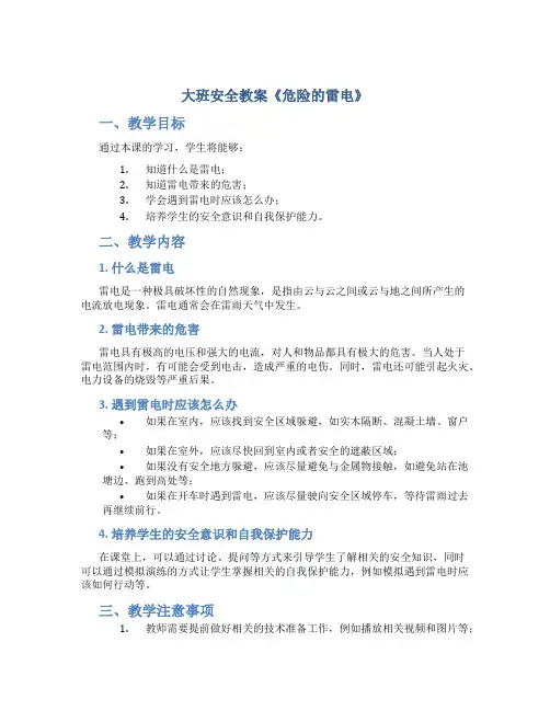 大班安全教案《危险的雷电》
