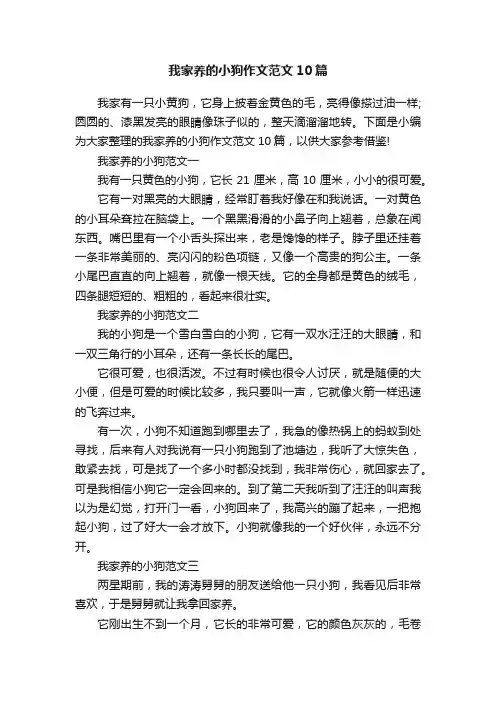 我家养的小狗作文范文10篇