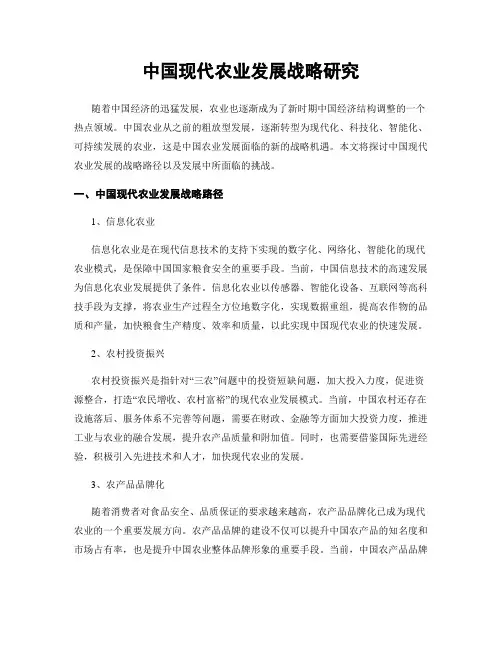 中国现代农业发展战略研究