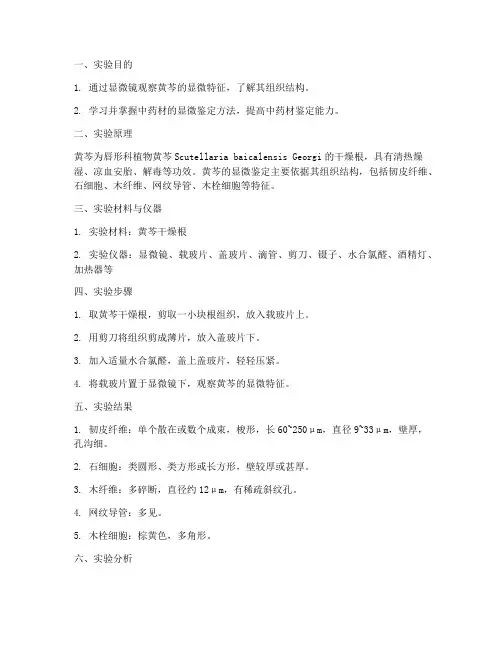 显微鉴定黄芩实验报告