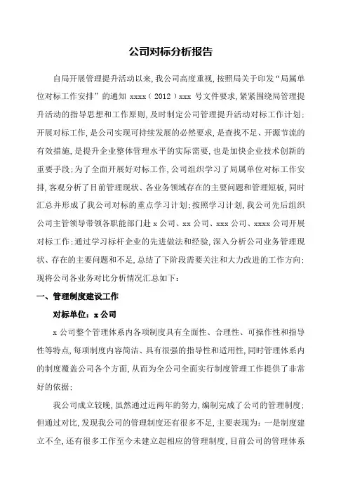 公司对标分析报告