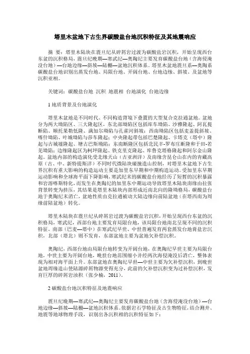 塔里木盆地下古生界碳酸盐台地沉积特征及其地震响应