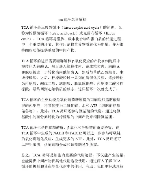 tca循环名词解释