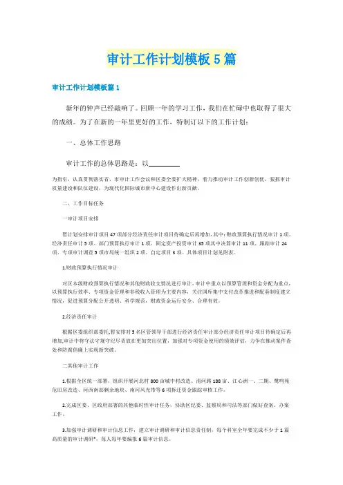 审计工作计划模板5篇