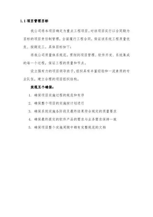 信息化项目管理方案