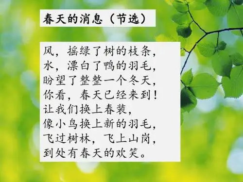 16《和我们一样享受春天》课件