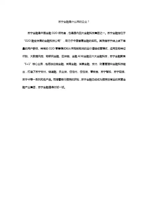苏宁金融是什么样的企业？