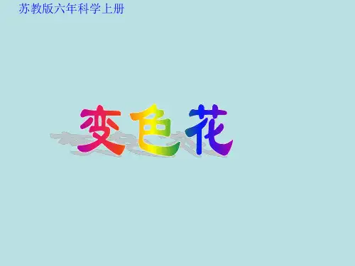 六年级上册科学课件-3.3 变色花｜苏教版(共23张PPT)