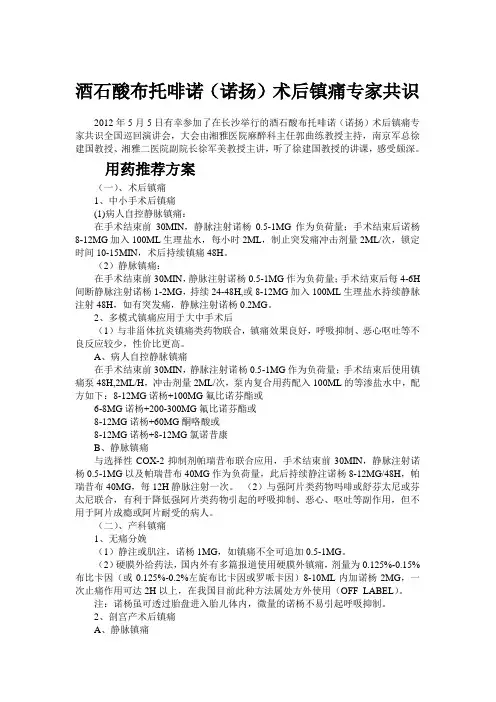 酒石酸布托啡诺