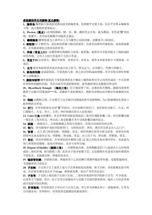 系统解剖学名词解释