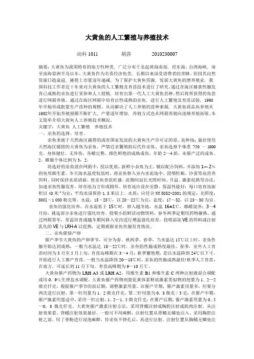 大黄鱼的人工繁殖与养殖技术