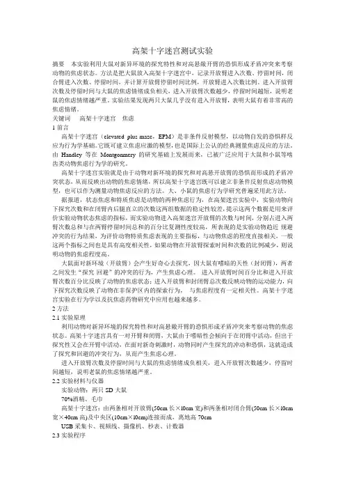 高架十字迷宫测试实验