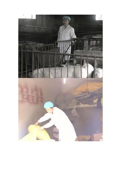 王彦辉事迹材料