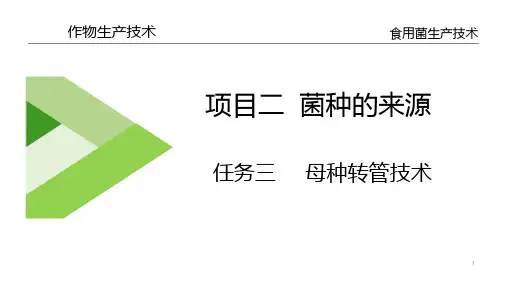 菌种的来源—母种转管技术(食用菌生产技术课件)