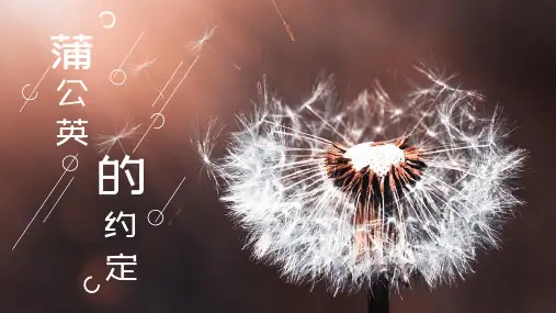 小清新蒲公英简约通用PPT模板