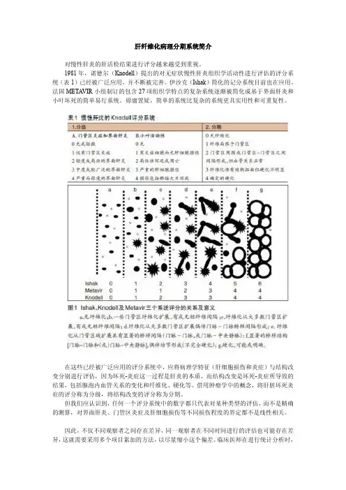 肝纤维化病理分期系统简介