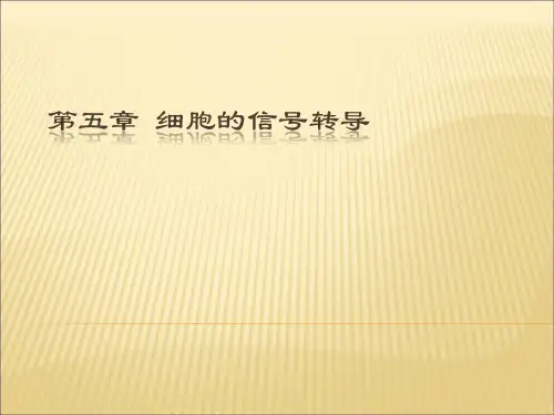 第五章 细胞的信号转导