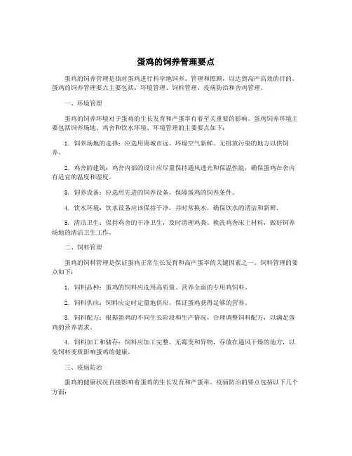 蛋鸡的饲养管理要点