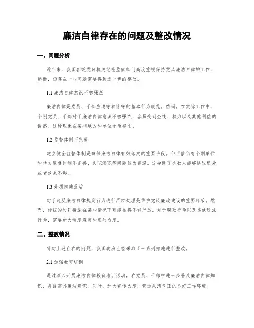 廉洁自律存在的问题及整改情况