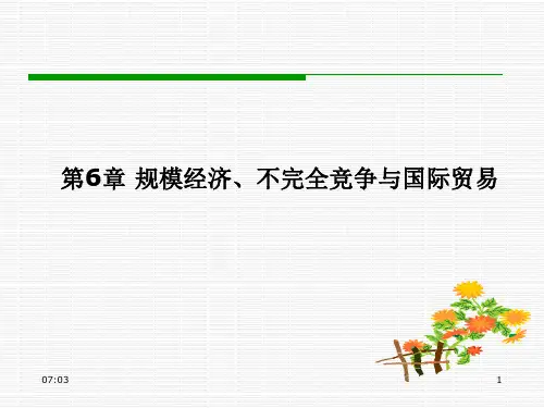(免费)国际经济学--第6章 规模经济、不完全竞争与国际贸易