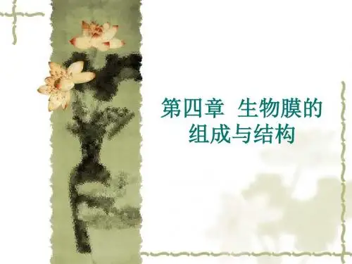 生物膜的组成与结构.