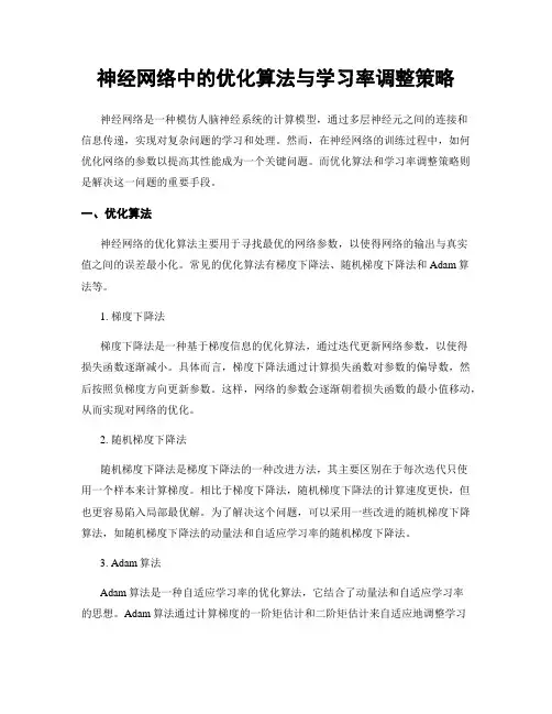 神经网络中的优化算法与学习率调整策略