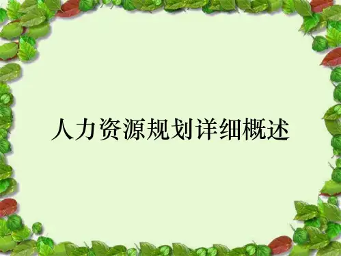 人力资源规划详细概述