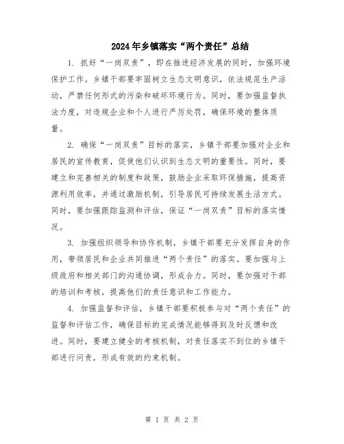 2024年乡镇落实“两个责任”总结