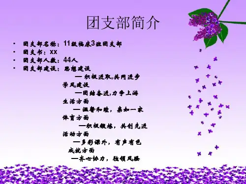 11021001班先进团支部答辩PPT精品文档25页