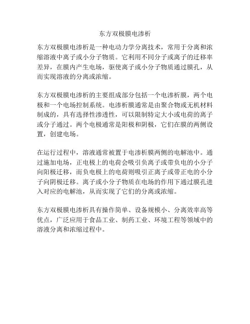 东方双极膜电渗析