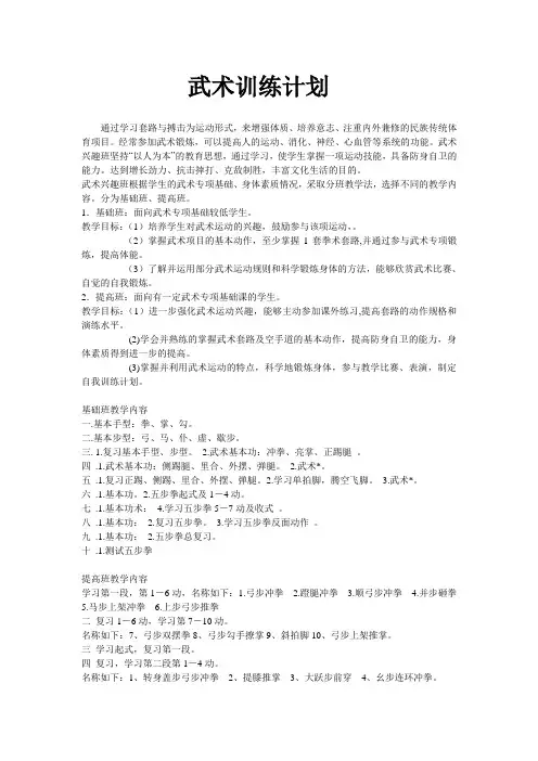 武术训练计划及大纲
