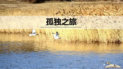 《孤独之旅》精品优质完整教学PPT课件(精选3篇)