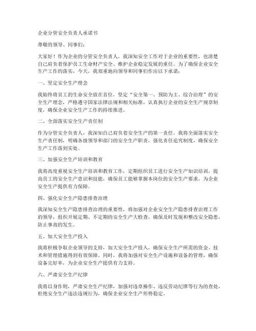 企业分管安全负责人承诺书