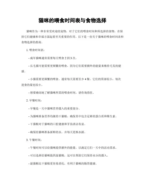 猫咪的喂食时间表与食物选择