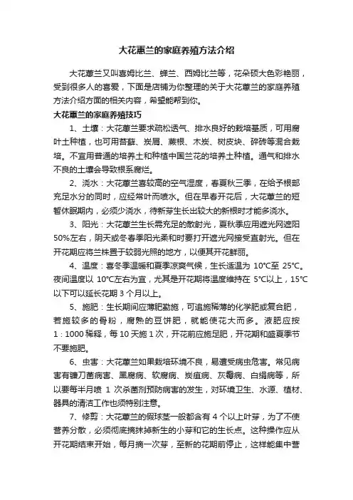 大花蕙兰的家庭养殖方法介绍