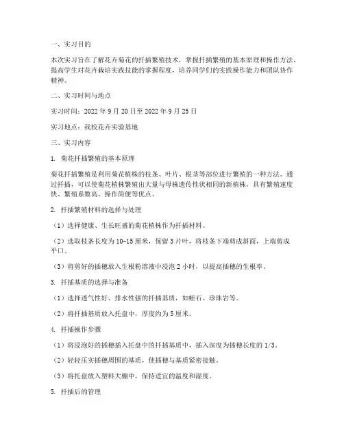花卉菊花扦插实习报告