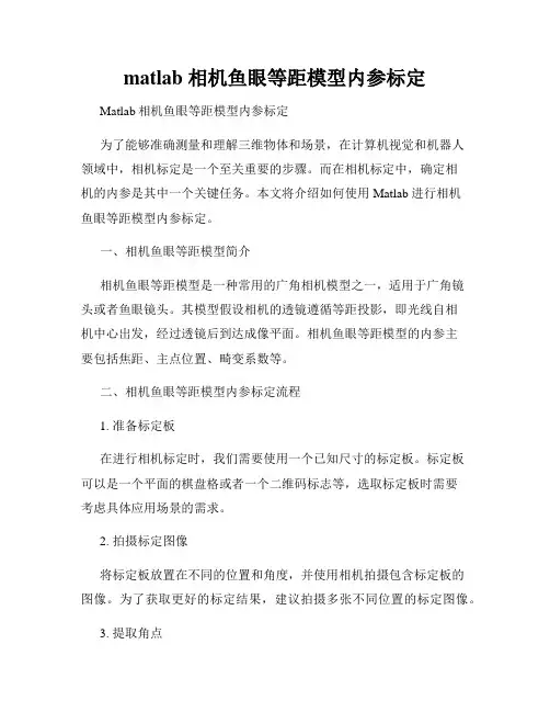 matlab 相机鱼眼等距模型内参标定