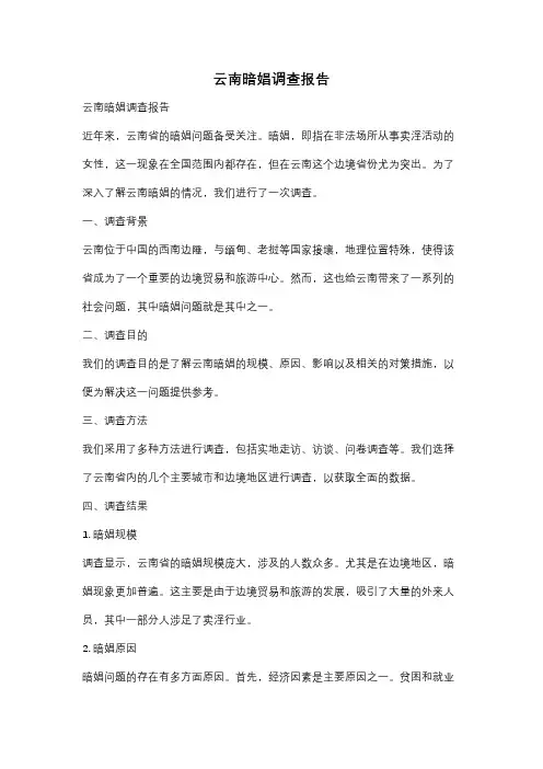 云南暗娼调查报告