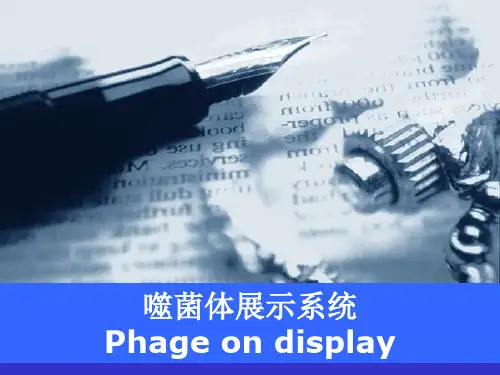 噬菌体展示技术PPT精选文档