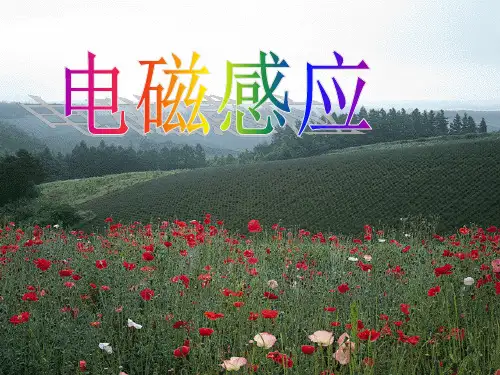 电磁感应课件