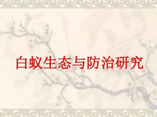 关于白蚁防治的培训 共41页