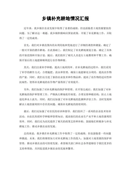 乡镇补充耕地情况汇报