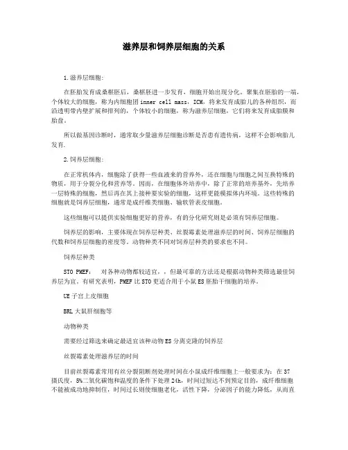 滋养层和饲养层细胞的关系